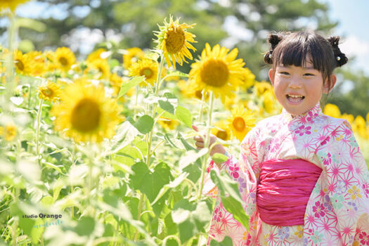 服部緑地ひまわりロケーション撮影